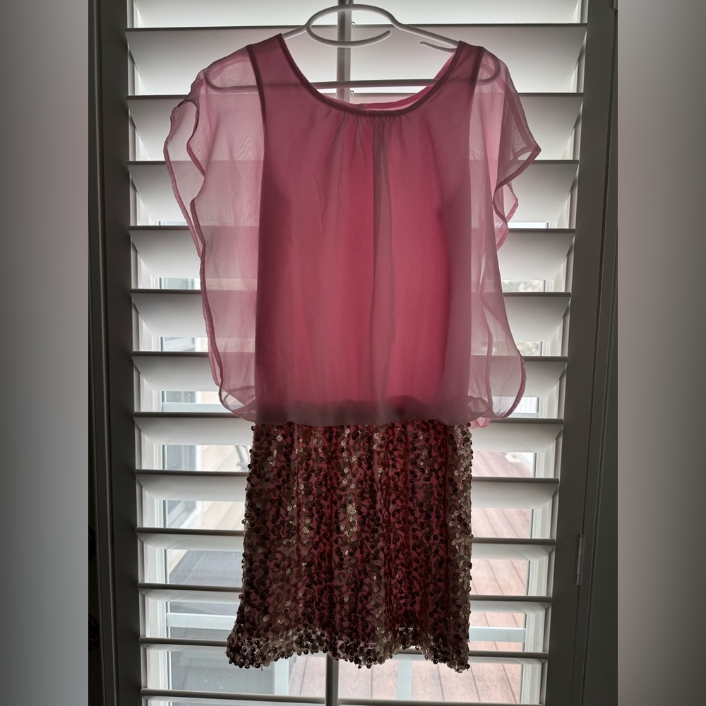 Ruum Girl’s Pink Sheer Blouse Dress